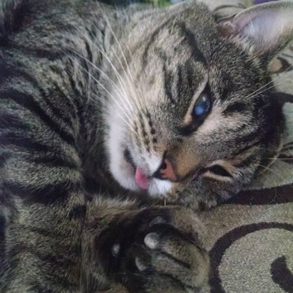 Meet your posher! I'm Hope, from Five To Thrifty! - Picture 3 of 5